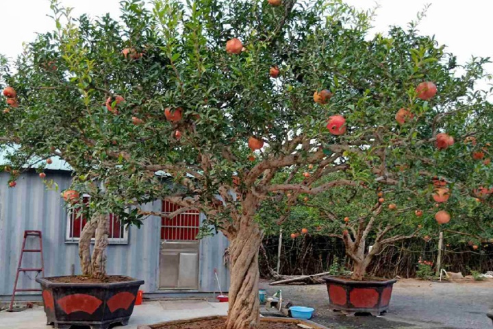 1670310046733191.jpeg 33f57f5e80a4566826938be91c4d069c.jpeg