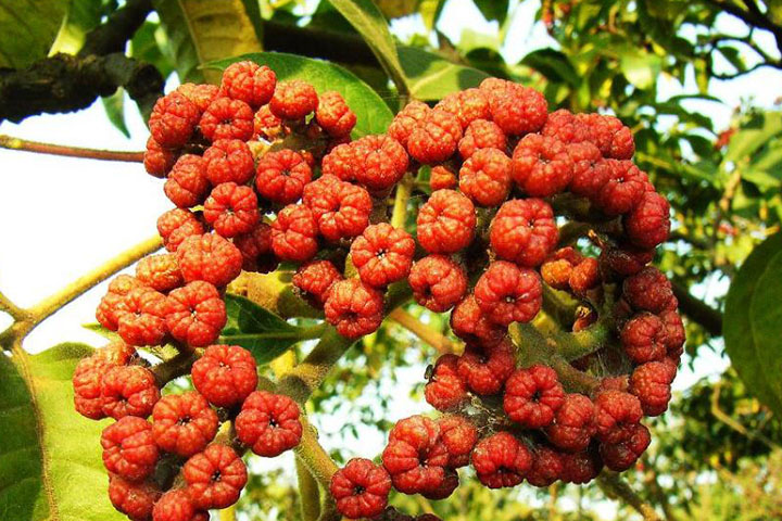 1686363996420247.jpg 2jpg.jpg