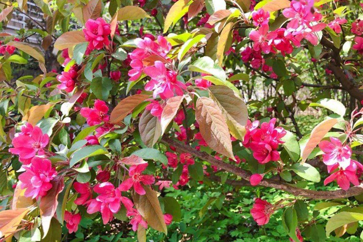 1754703565353611.jpg 1750404220165308.jpg